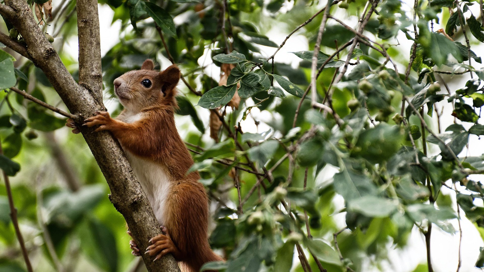 扩展思维后的文章标题