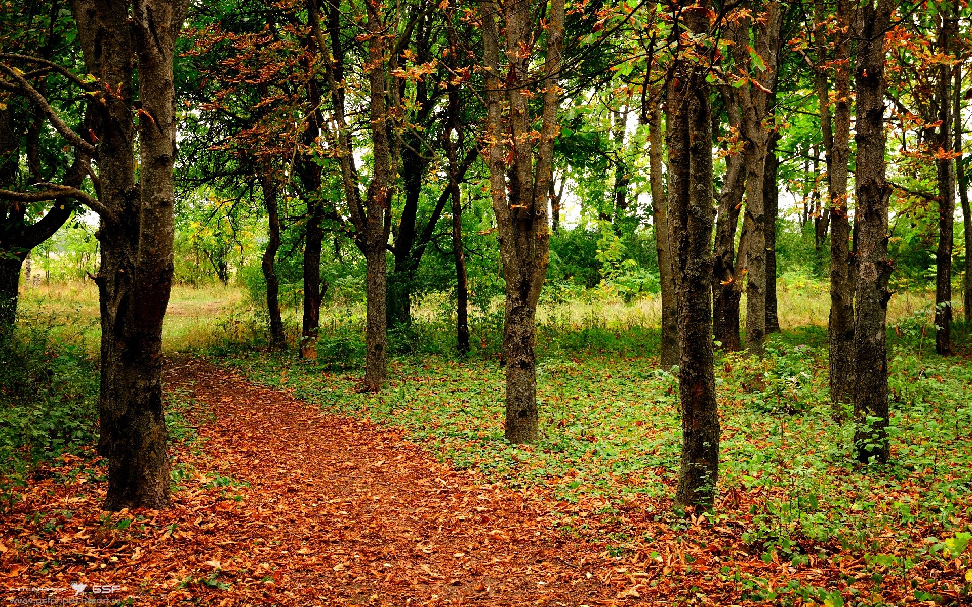 魔笛奏无解弧线，克罗地亚提前终结悬念！冰岛神话今夜落幕