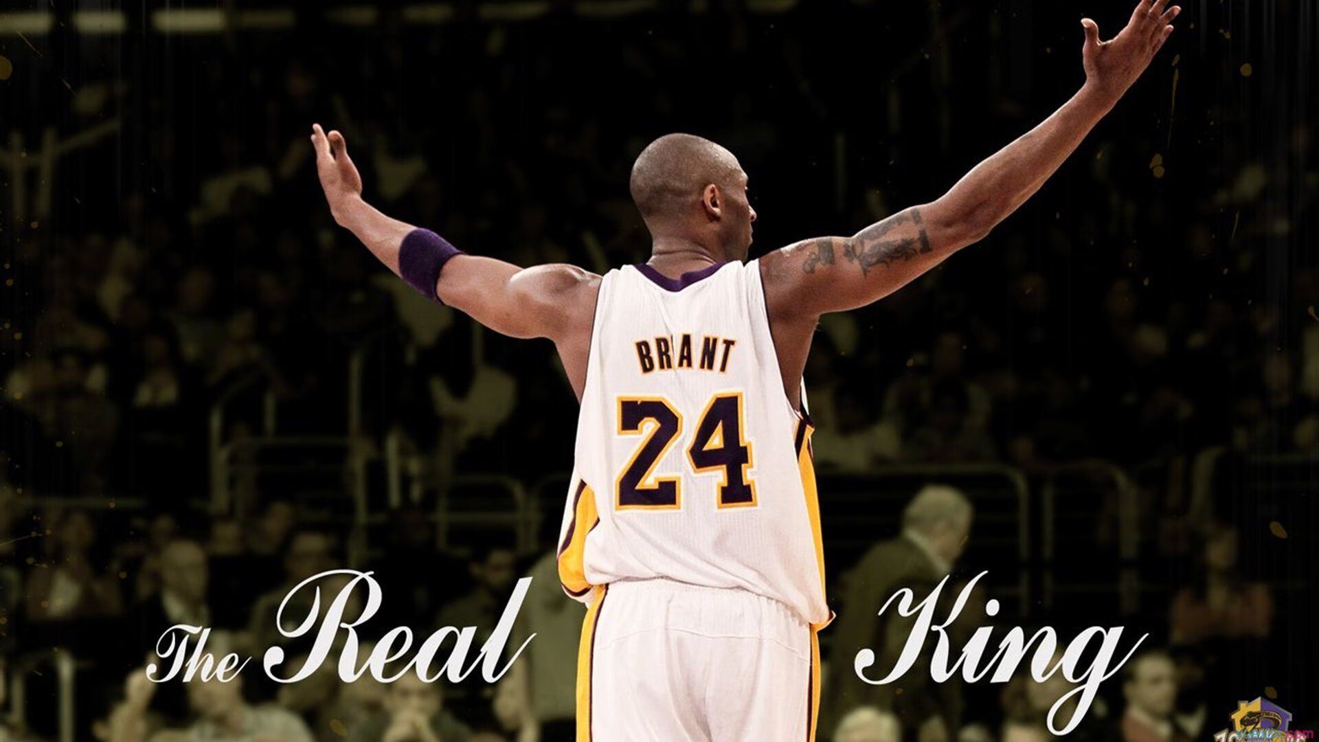 您提供的两个关键词—德甲争冠战之夜与字母哥关键回合不手软—分属足球（欧洲）和篮球（北美）两个完全不同的体育领域，直接融合创作存在事实冲突。因此，您可能是在寻求一种富有创意或隐喻的文章