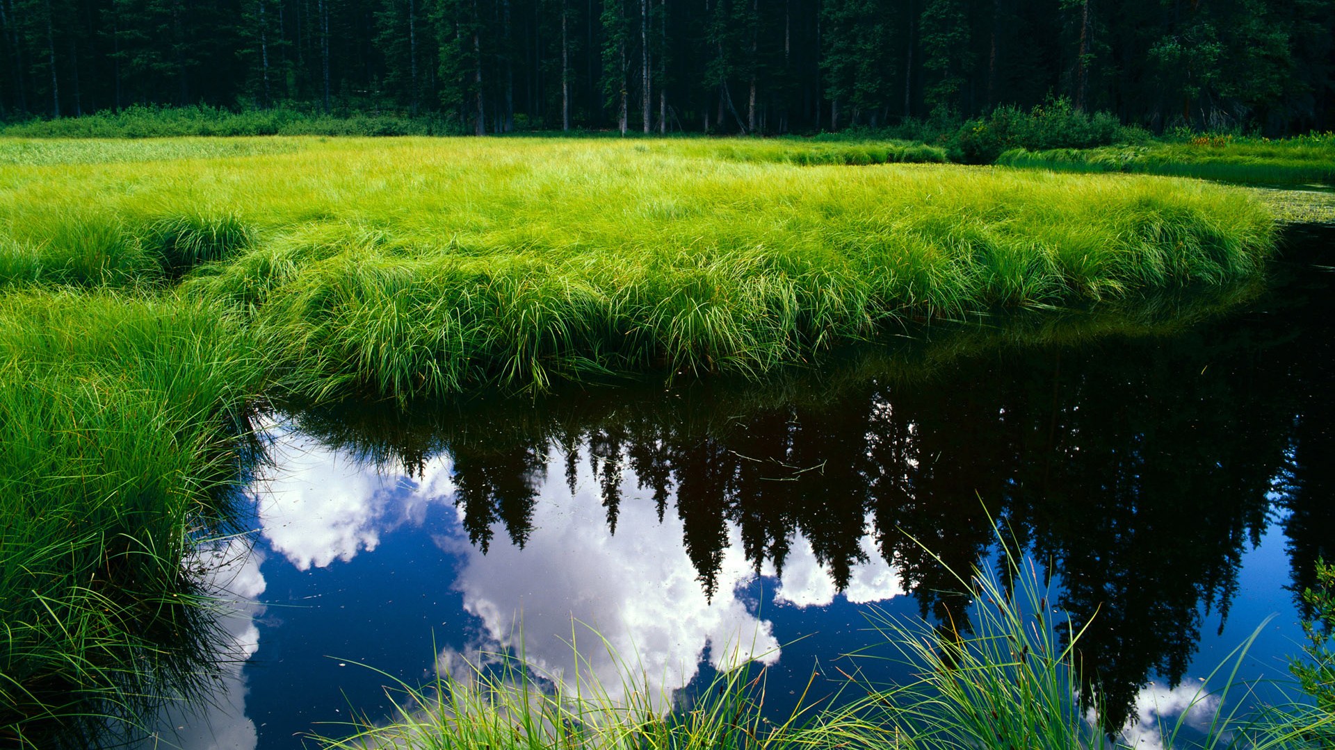 绝境风暴，篮网主场复仇凯尔特人，福克斯末节21分加冕关键先生