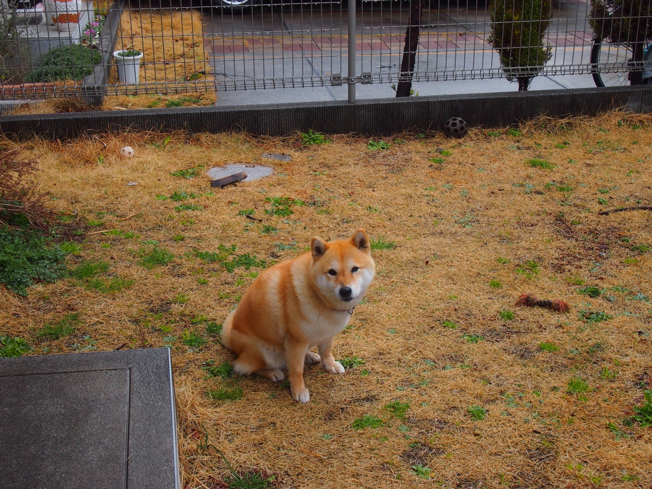 沉默乐器奏响胜利交响乐，公牛加时鏖战，西亚卡姆化身关键先生