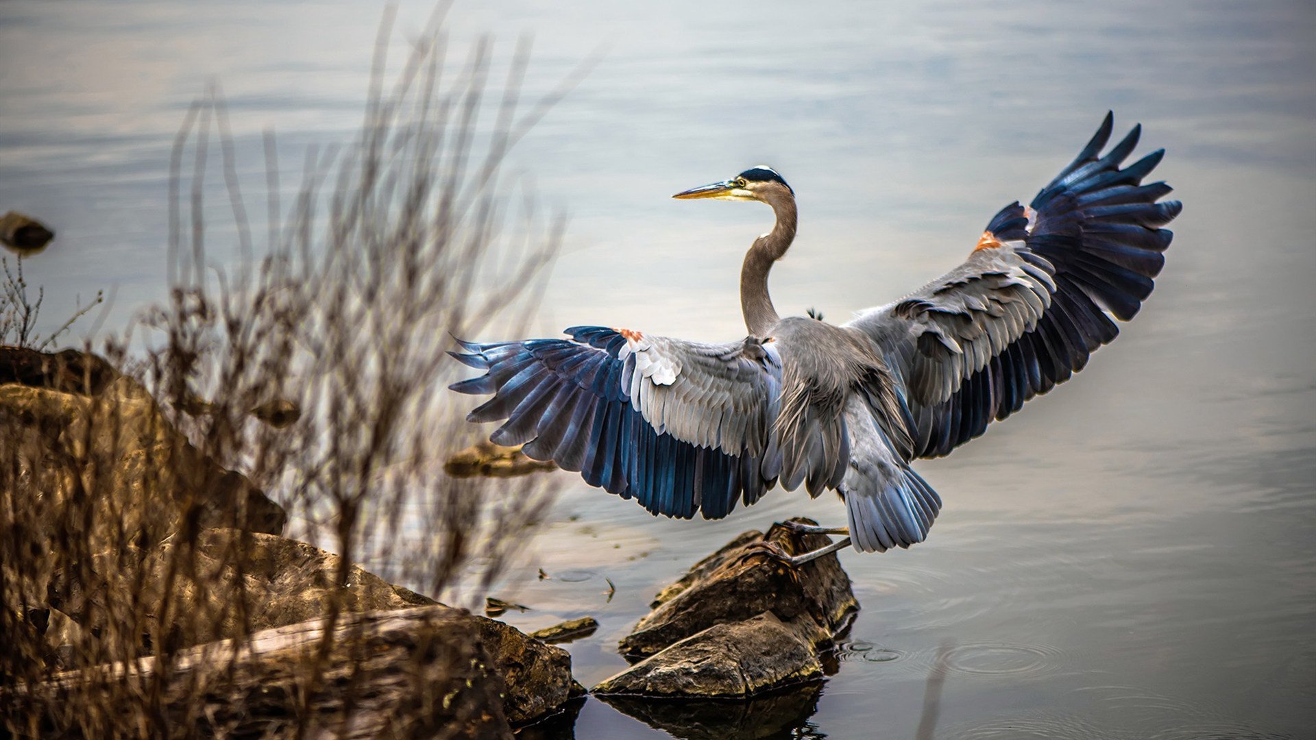 当NBA化身为F1街道赛，孟菲斯灰熊与克利夫兰骑士的赛道对决