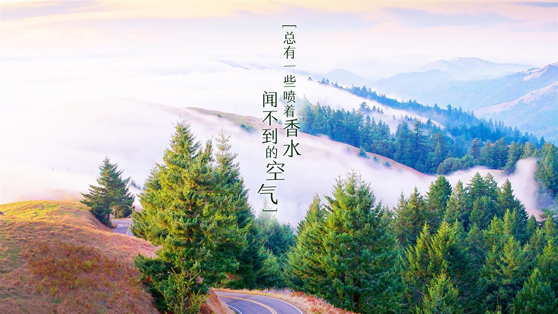 沙漠之盾与潘帕斯之矛,当梅西的天赋刺破北非铁壁,澳大利亚人用血肉筑起最后防线